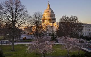 The Real Ruling Authority