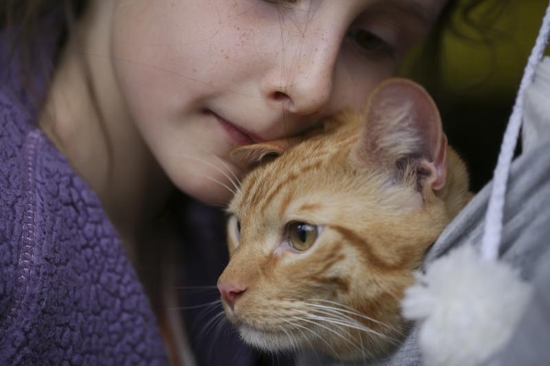 How Cats Became our Feline Overlords | Video | RealClearScience
