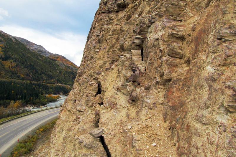 The Most Useful Fossils in the World Video RealClearScience