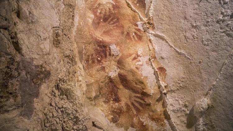 Our Ancestors May Have Developed Communication Rapidly