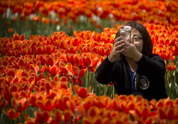 Silicon Valley’s China Paradox