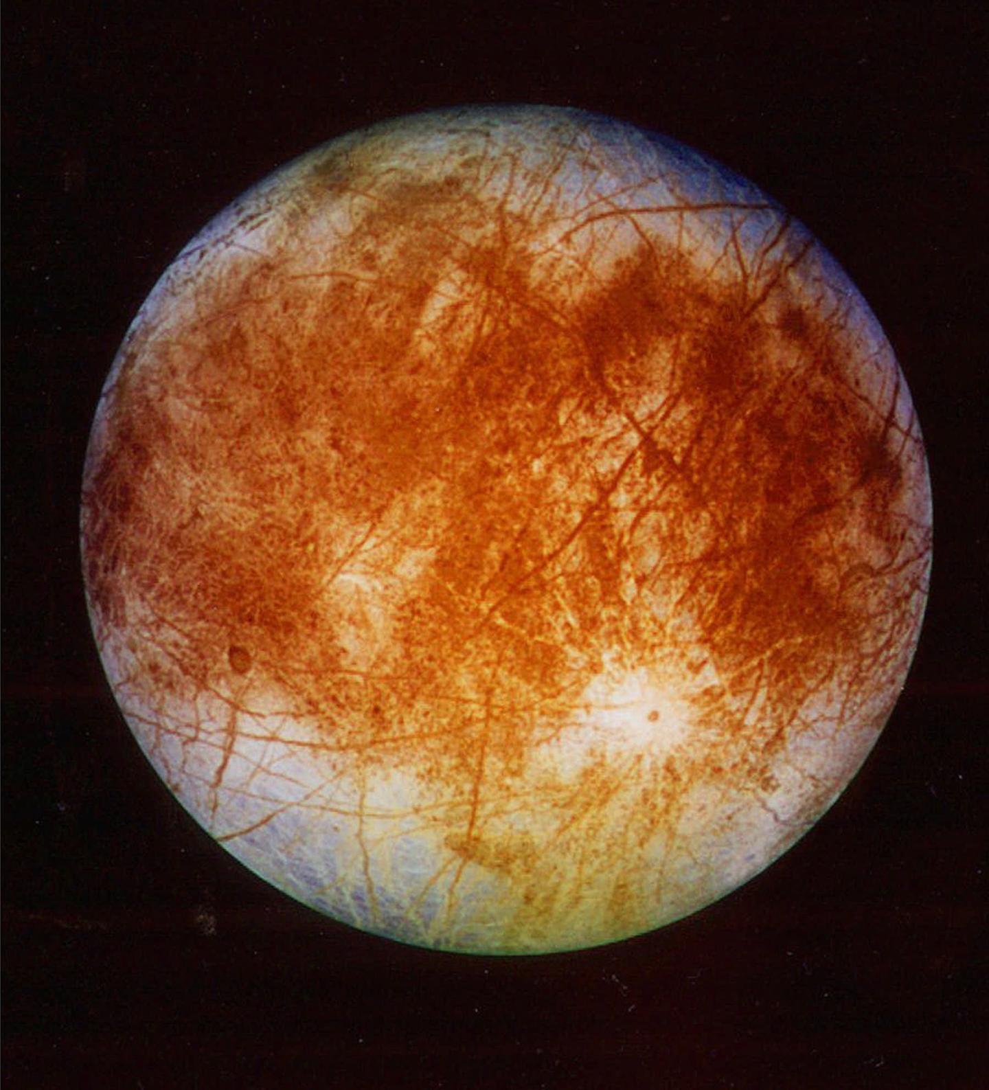 Life On Europa Meme 91 - lhpbw8b