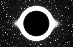Black Holes Might Eventually Look Like White Holes