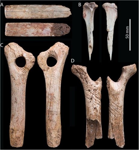 Many Types of Human Cannibalism in Neolithic Europe