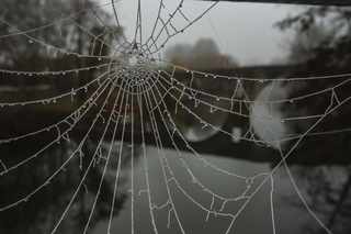 The 'Intellectual Dark Web' Is Nothing New