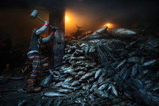 A Global Fish War is Coming