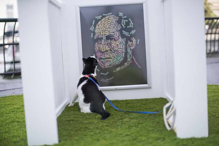 Five Traits That Define a Cat's Personality RealClearScience