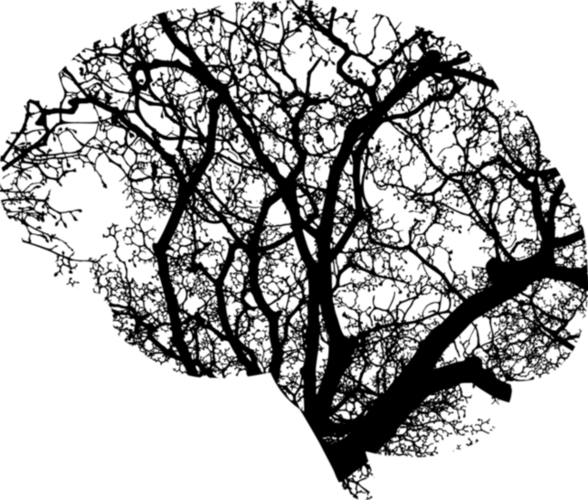 Connectomics 2.0