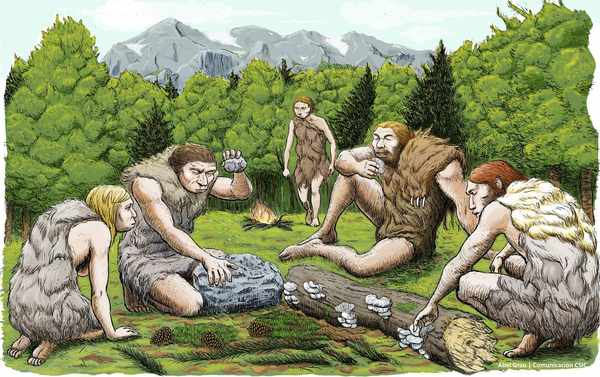 Neanderthals in Western Europe Were Doing Fine Before Extinction