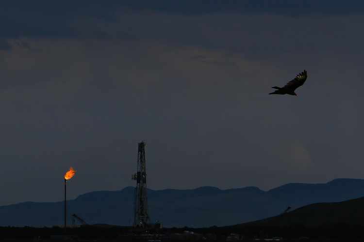 Oil Producers Face Their 'Life or Death' Moment