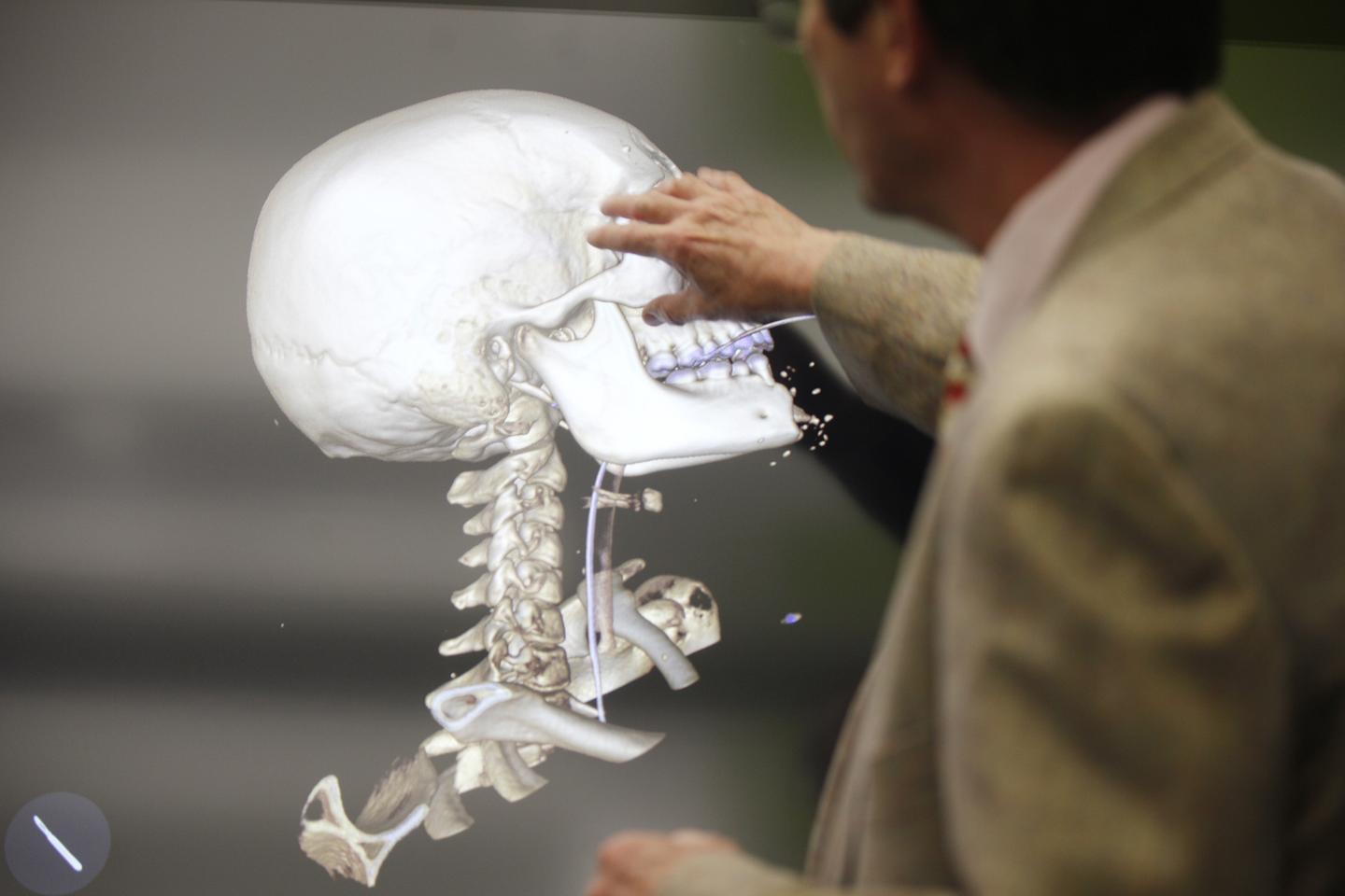 Surprising New Discoveries in Human Anatomy RealClearScience