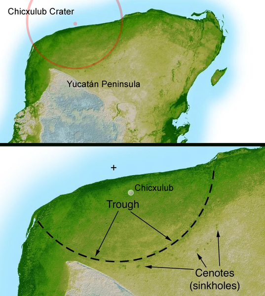 Dino-Killing Impact Crater Might Have Teemed With Life