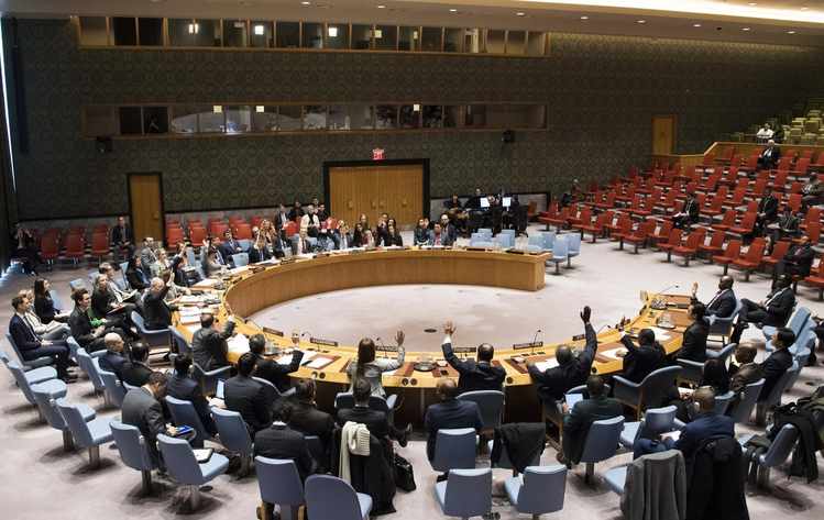Reluctant Hegemon: SA’s UN Security Council Seat