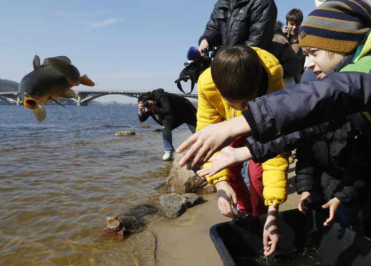 All Wild On the Eastern Front