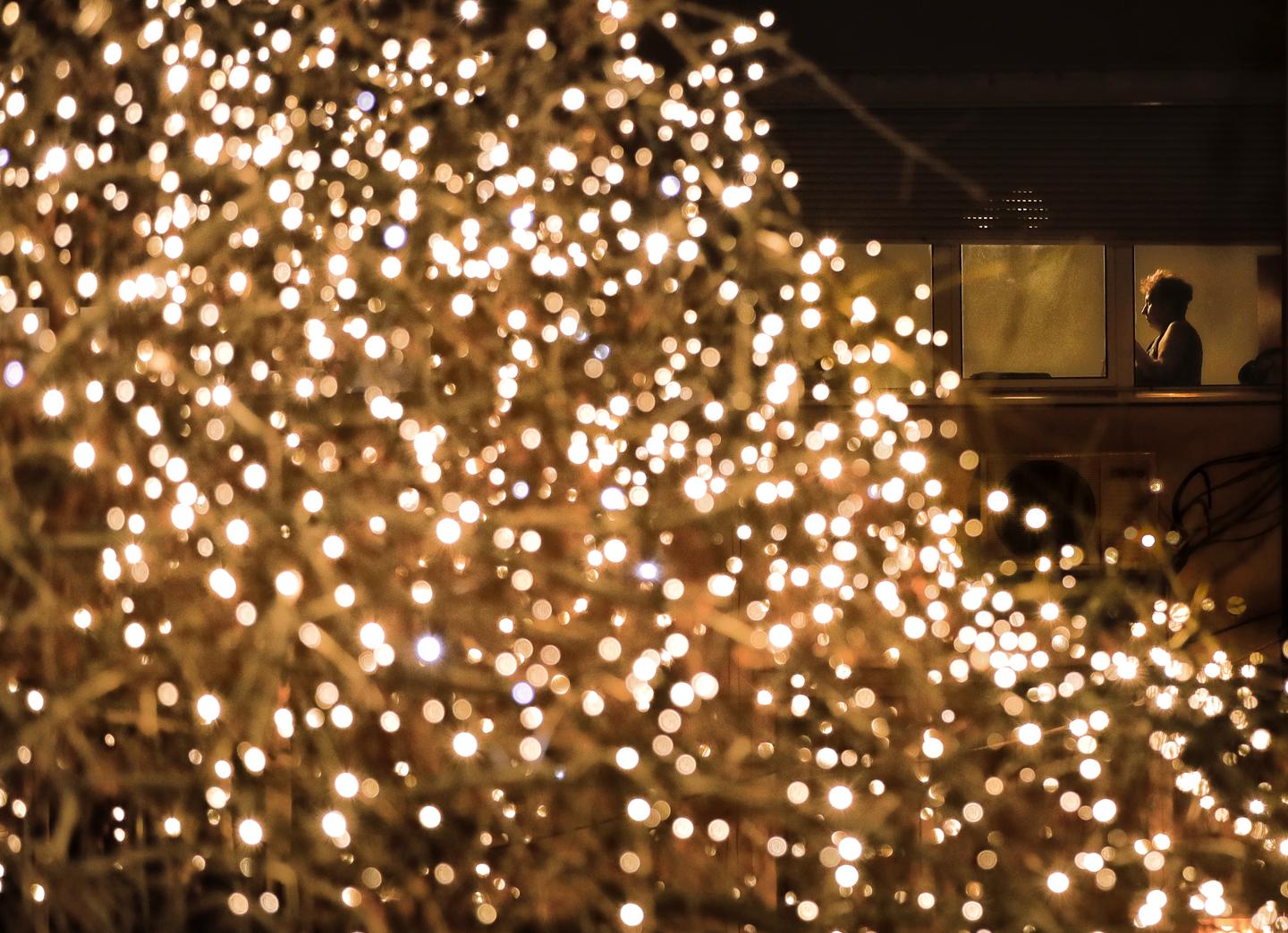 Who Really Introduced the Christmas Tree? RealClearHistory