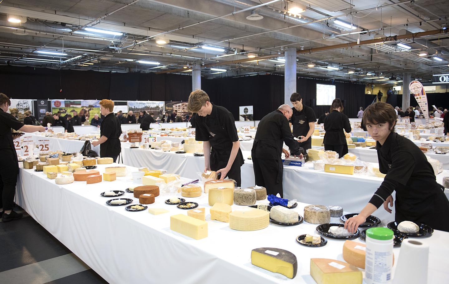 A Brief History of Cheese Video RealClearScience