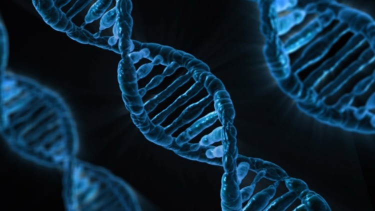 Scientists Are Starting to Unlock the Secrets of 'Dark' DNA