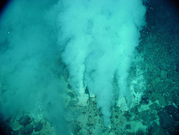 Paper Questions Leading Theory For How Life Began
