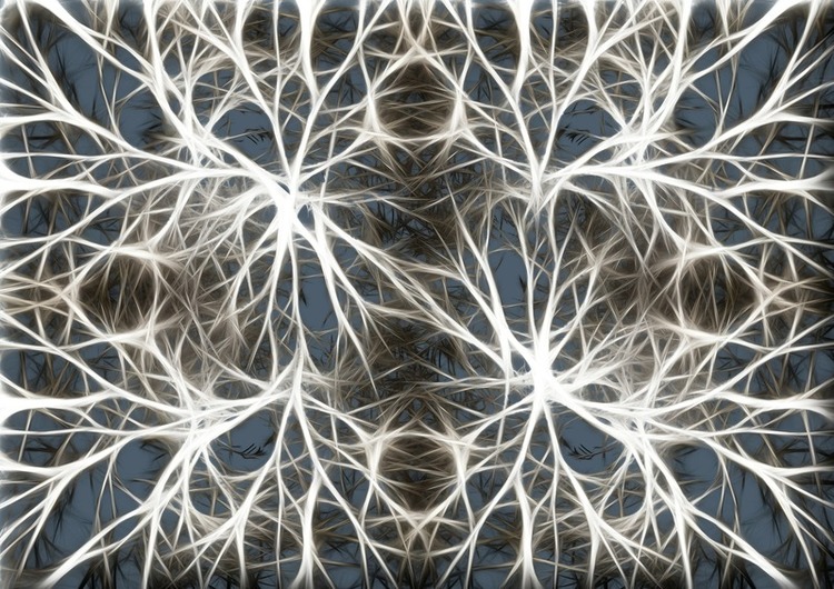 Researchers Transform Old Blood Cells Into Young Brain Cells