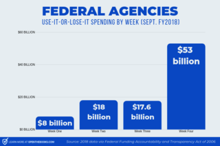 The Federal Government's Use-it-or-Lose-it Spending Spree