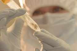 Justinianic Plague Was Nothing Like the Flu