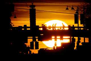 University of Tennessee to Offer Some Students Free Tuition