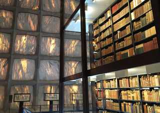 The Books of College Libraries Are Turning Into Wallpaper