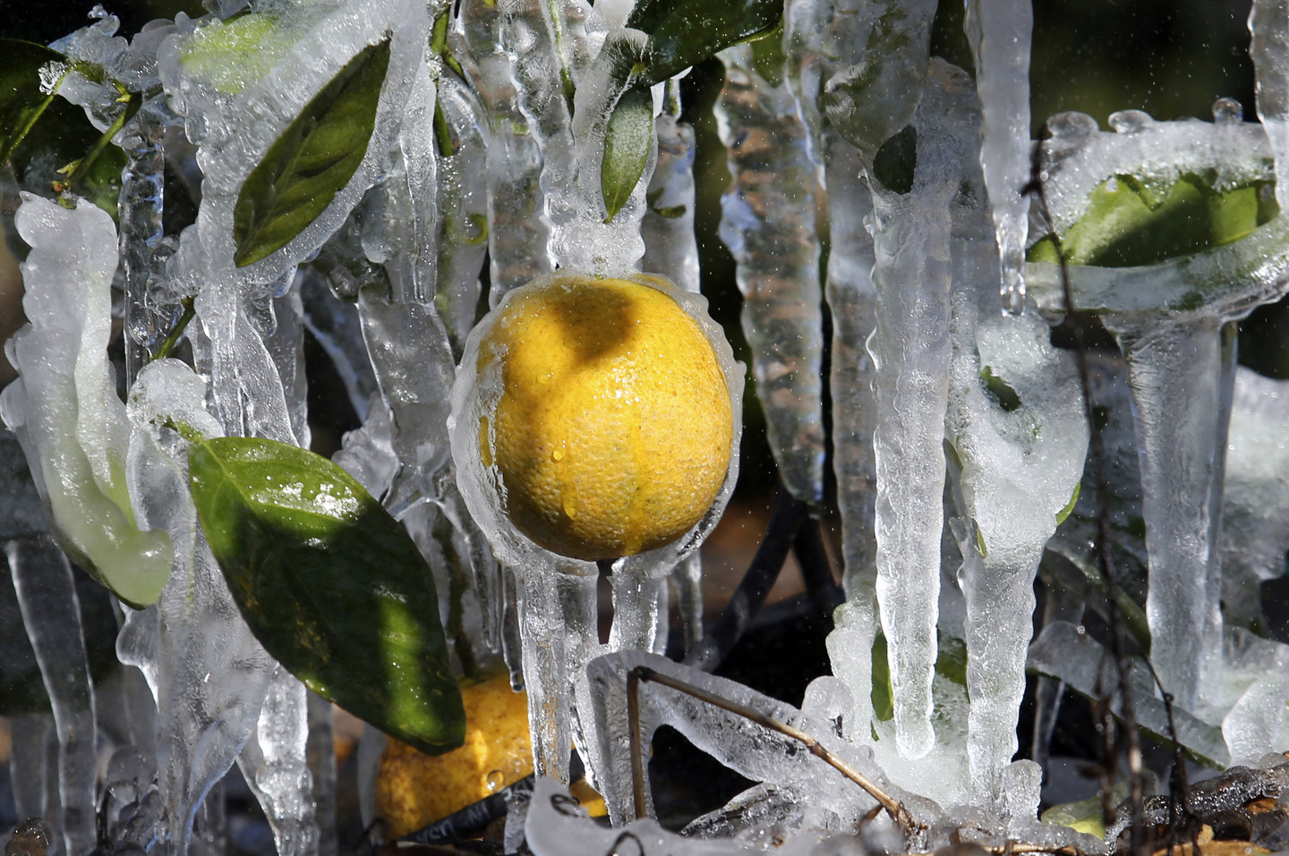 How to Keep Water From Freezing at 263 Degrees Celsius RealClearScience