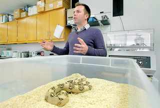 Inside The Destruction of a Proud University