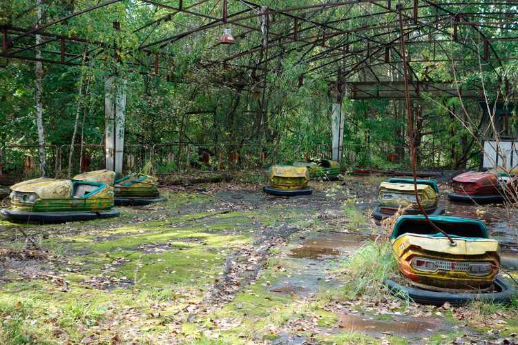 Why Didn't Chernobyl Kill All the Plants? RealClearScience