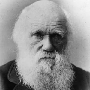 What I Learned From Teaching Darwin