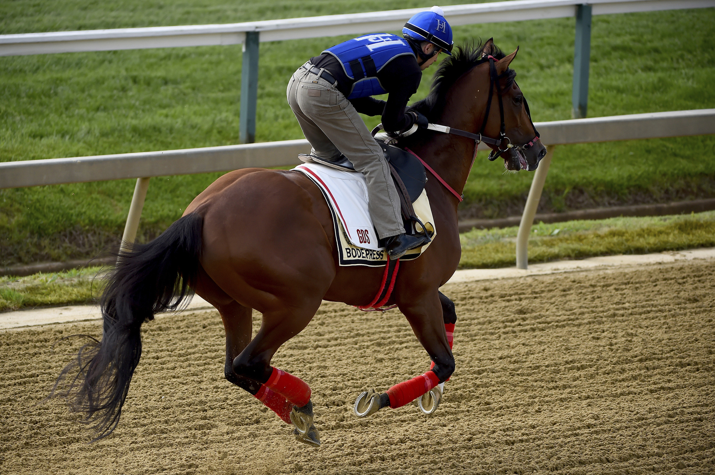 Us racing horse. Лошадиные бега. Скачки баркгаузена. События в мире конного спорта. Us racing horse.