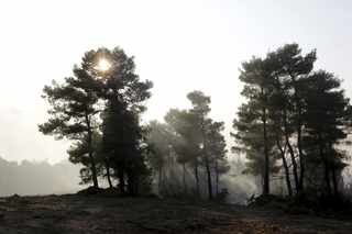 America's Largest Black Boarding School Sends 97% to College