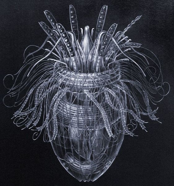 The Animals That Don't Need Oxygen Video RealClearScience