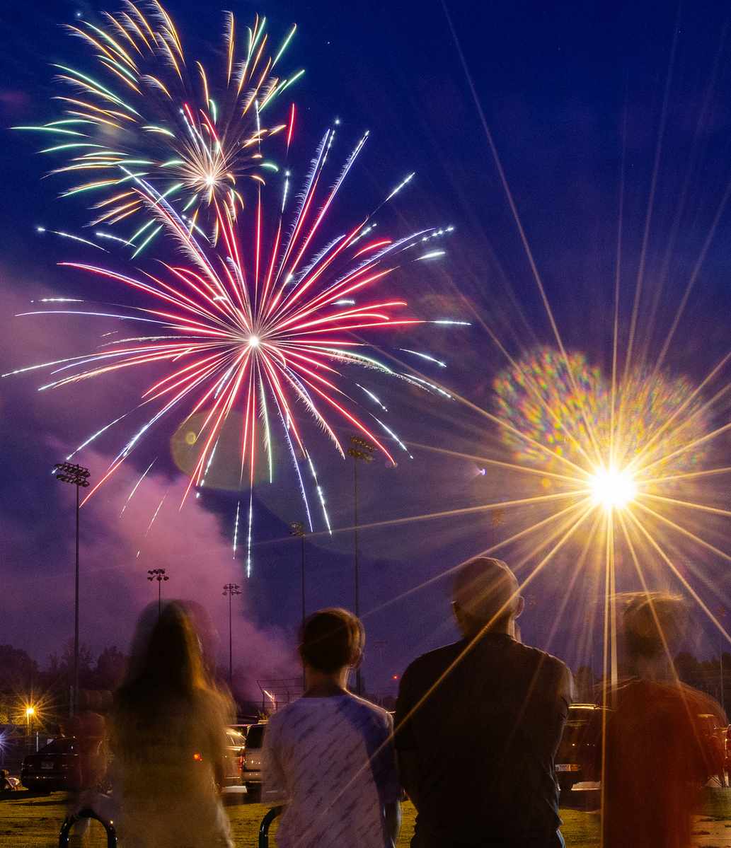 Why Dogs Hate Fireworks, and How You Can Help Them RealClearScience