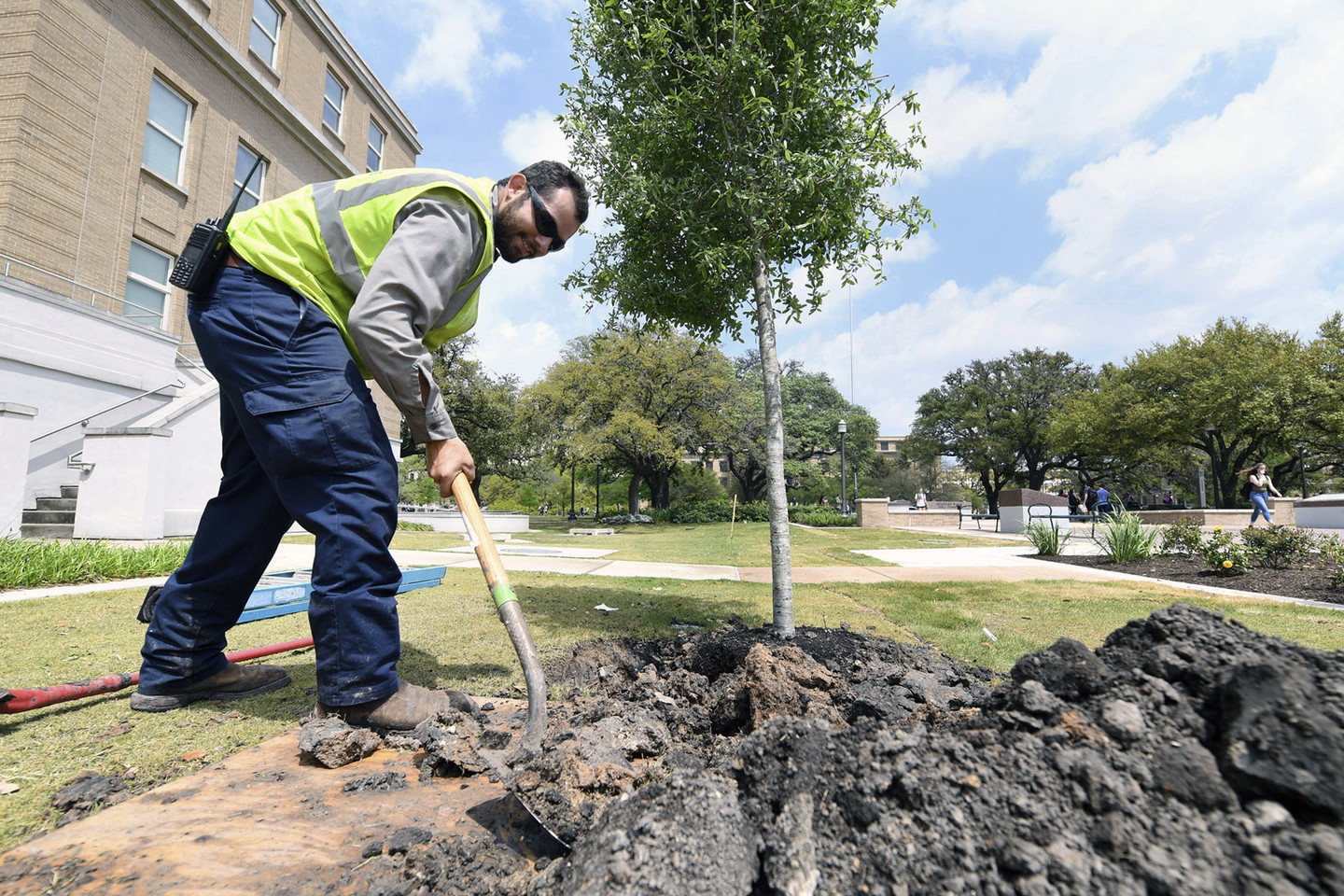 The Best Way to Fight Climate Change? Plant a Trillion Trees