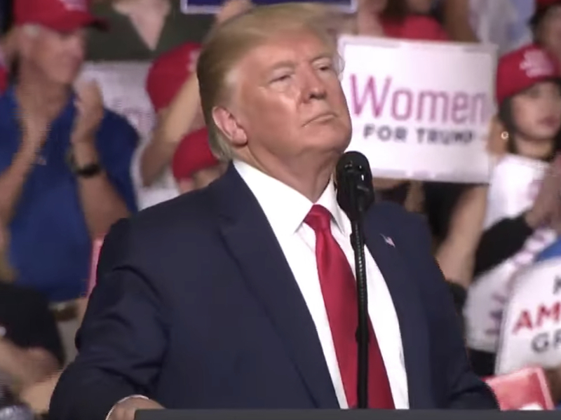 DONALD TRUMP 8-15-19 MAGA NH tick Manchester Make America Great Again Rally