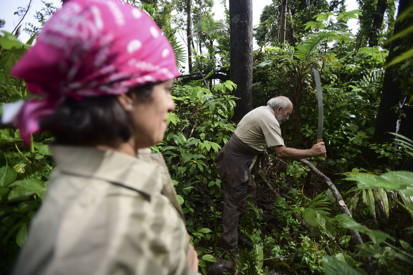 The Alarming Case of the Missing Insects | RealClearScience