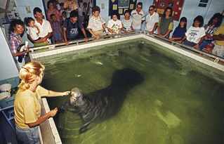 McDreamy, McSteamy, McConnell: Congressional Fan Fics