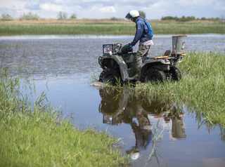 Repealing Clean Water Rule Will Swamp Trump in Litigation