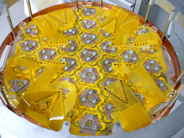 Experiments Ring the 'Death Knell' for Sterile Neutrinos