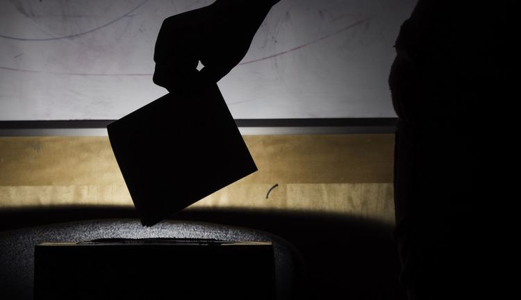 A Certain Boredom? Taking Stock of Democracy in 2019