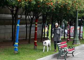 Are Cities Going to the Dogs?