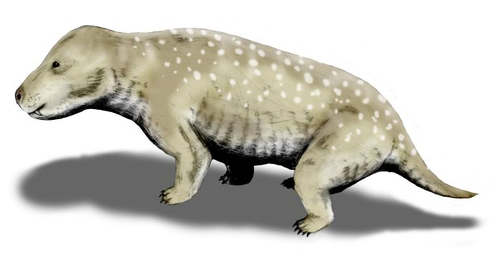 New Fossil Evidence Challenges Story of Mammalian Birth