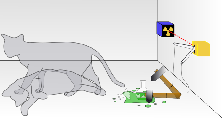 A 'Many Minds' Interpretation of Schrödinger's Cat