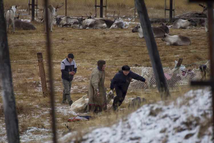 Challenges for Indigenous Groups in the Russian Arctic