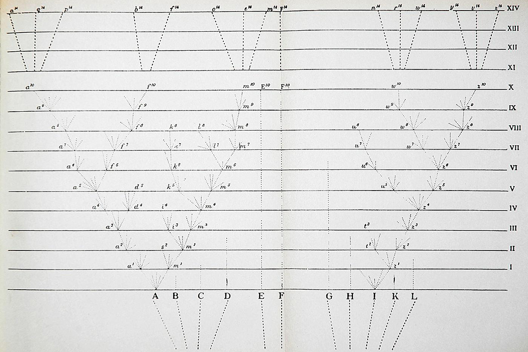 An Early Review of "On the Origin of Species" | RealClearScience