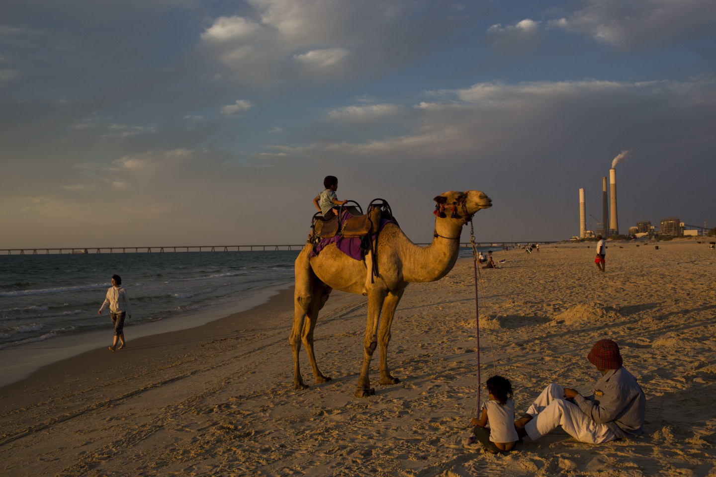 Camels in America? That Was an Epic Fail RealClearHistory