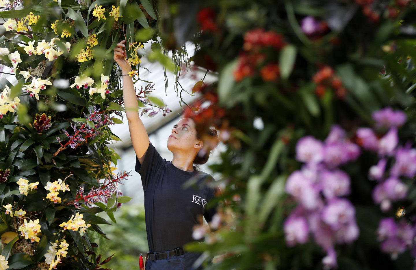 How Plants Use Quantum Mechanics Video RealClearScience