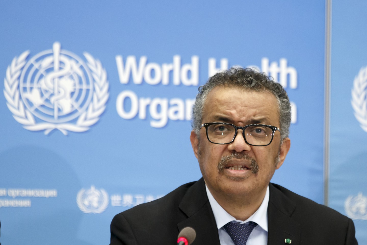 Abolish the World Health Organization RealClearPolicy Abolish the World Health Organization RealClearPolicy